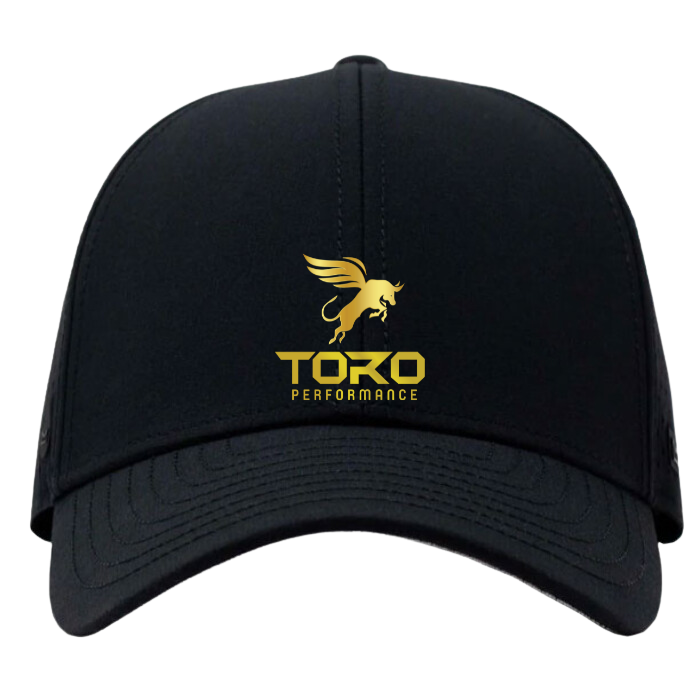 Toro Trucker Hats - Standard Baseball Brim Headware Bambū Werx M/L Adjustable (55-59cm) Black Standard (Baseball Brim)