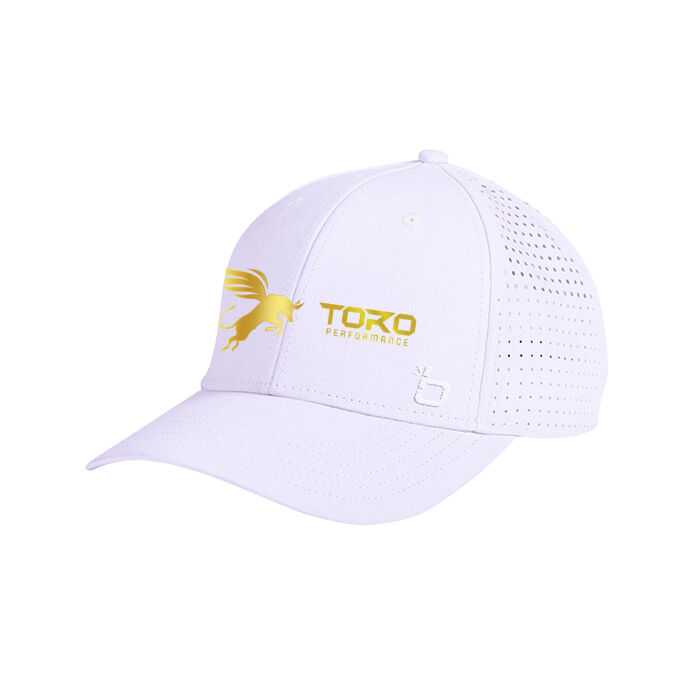 Toro Trucker Hats - Standard Baseball Brim