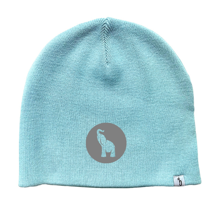 YT Beanies (Pre-Order) Headware Bambū Werx Sky Blue OSFA Grey Logo